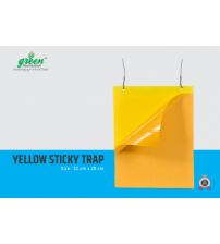 Yellow Sticky Trap - 22 cm x 28 cm